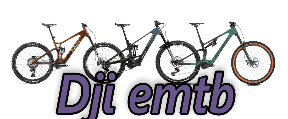 More DJI eBikes Powered by Avinox Motor | Forbidden Druid | Unno Mith