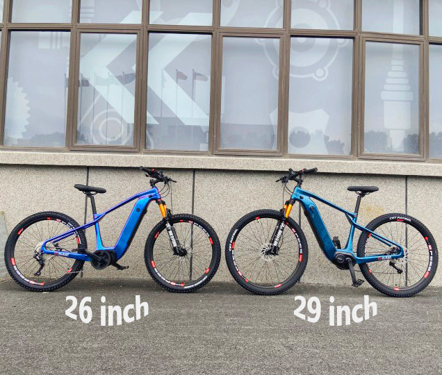 eEM29 Carbon eMTB | 26er Wheels | Hardtail eBike | Cross-Country Electric Mountain Bike
