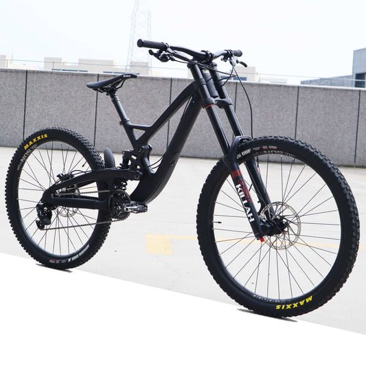 DH MTB (Carbon)
