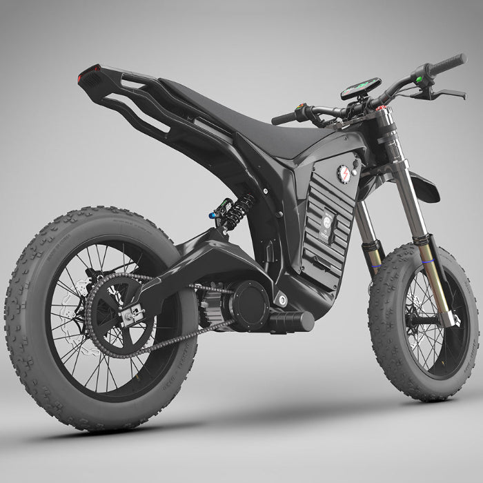 Denzel (Carbon) – 4LEAF Bikes - Main Image