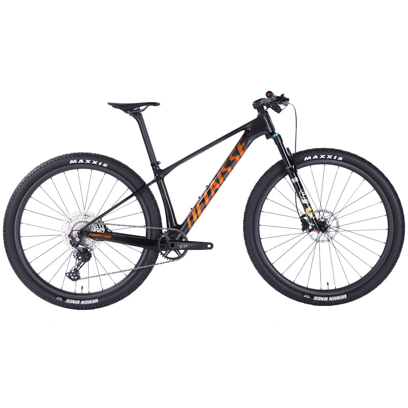 Phantom Hardtail MTB (Carbon)
