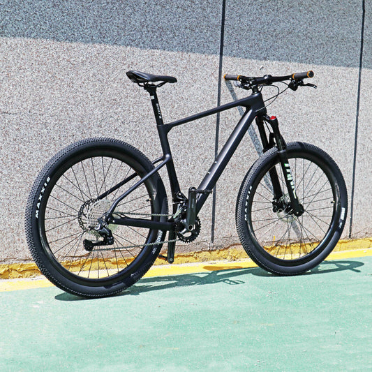Hardtail MTB (carbon)