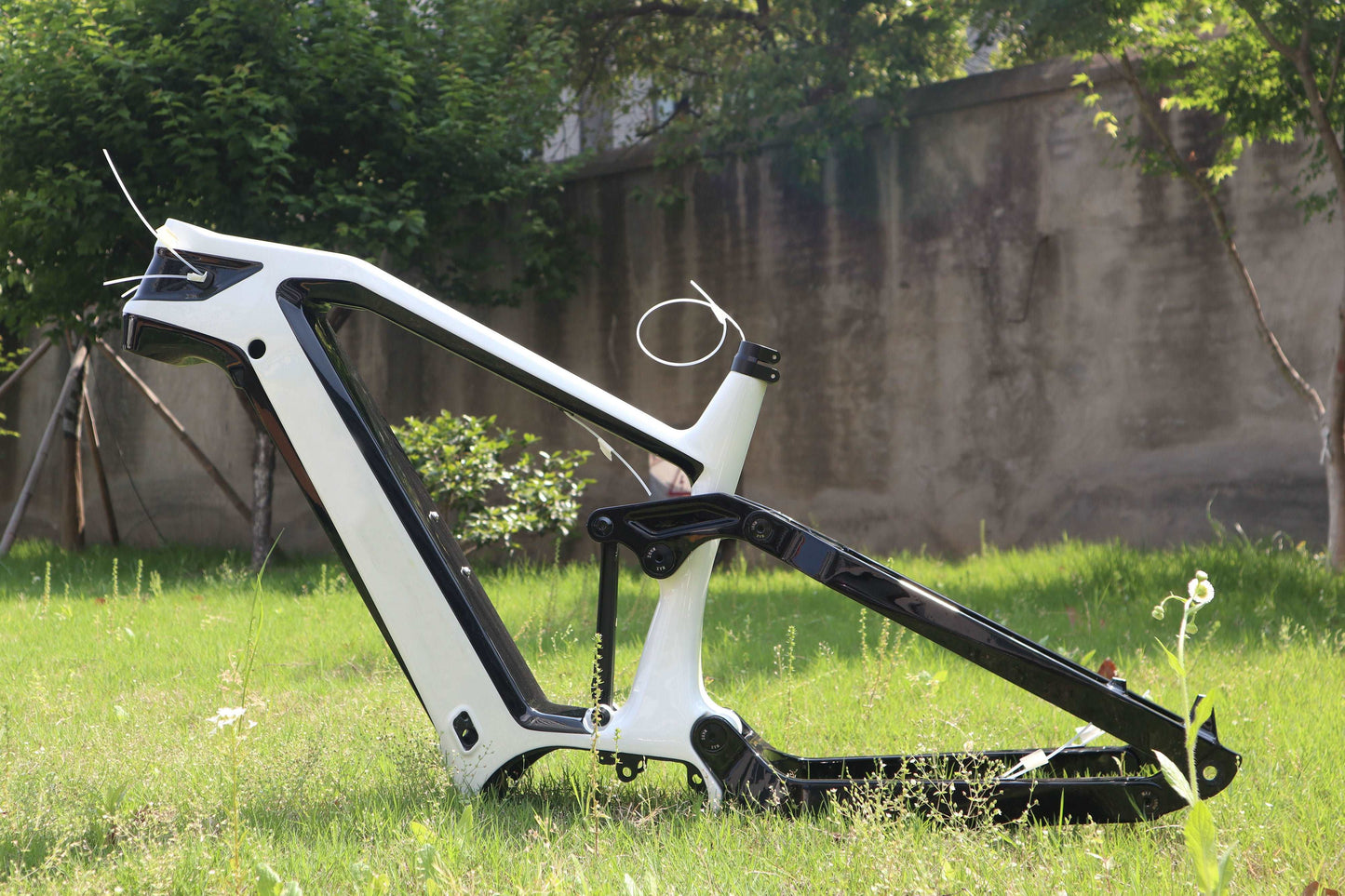 LOKI frameset