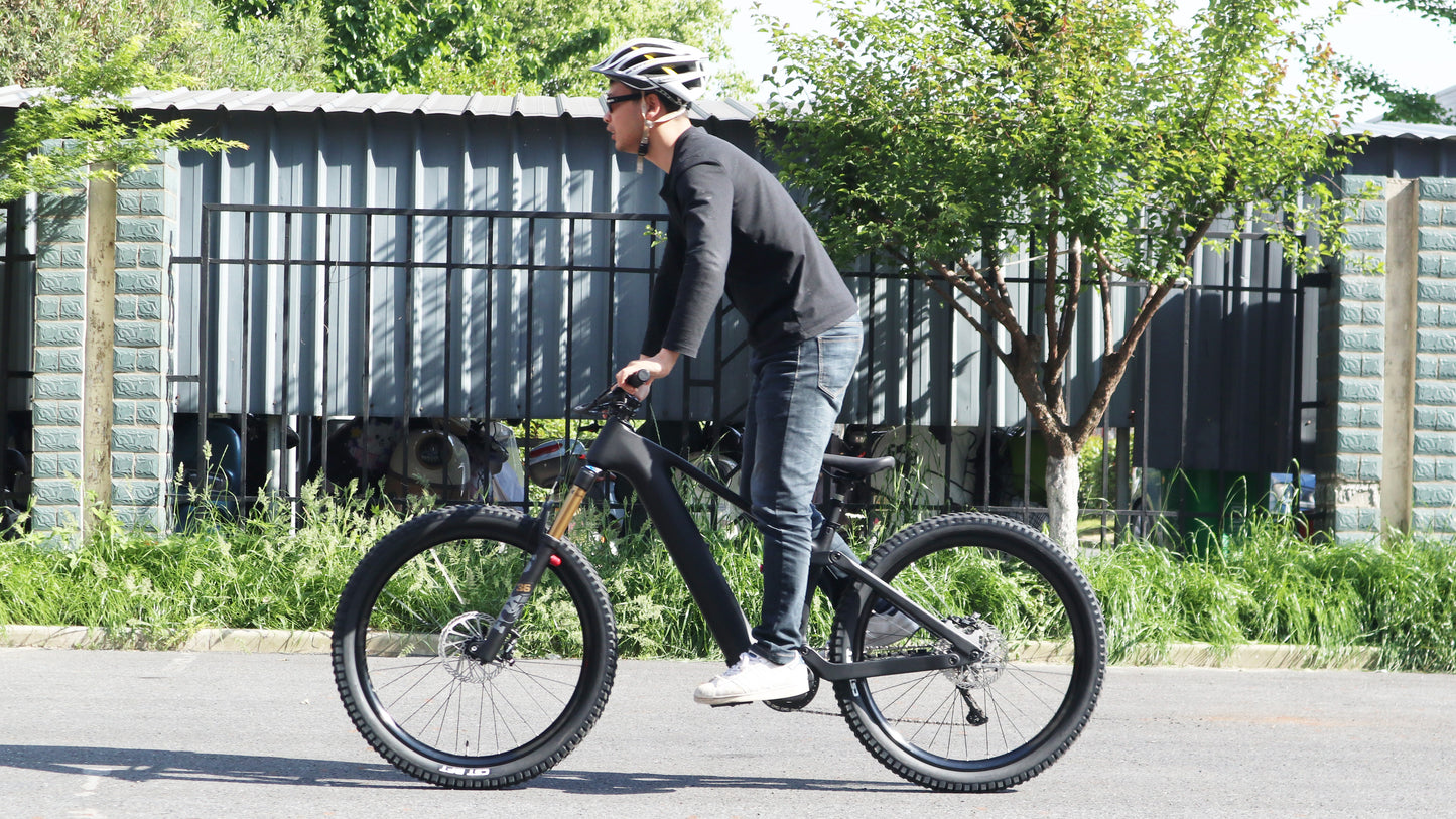 Lightweight Bafang M820 (CEF50)