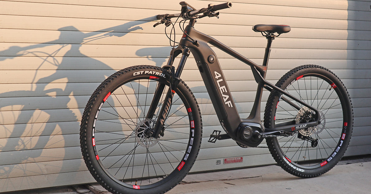 4ever mountainbike eM29 Carbon eMTB | 26er Wheels | Hardtail eBike