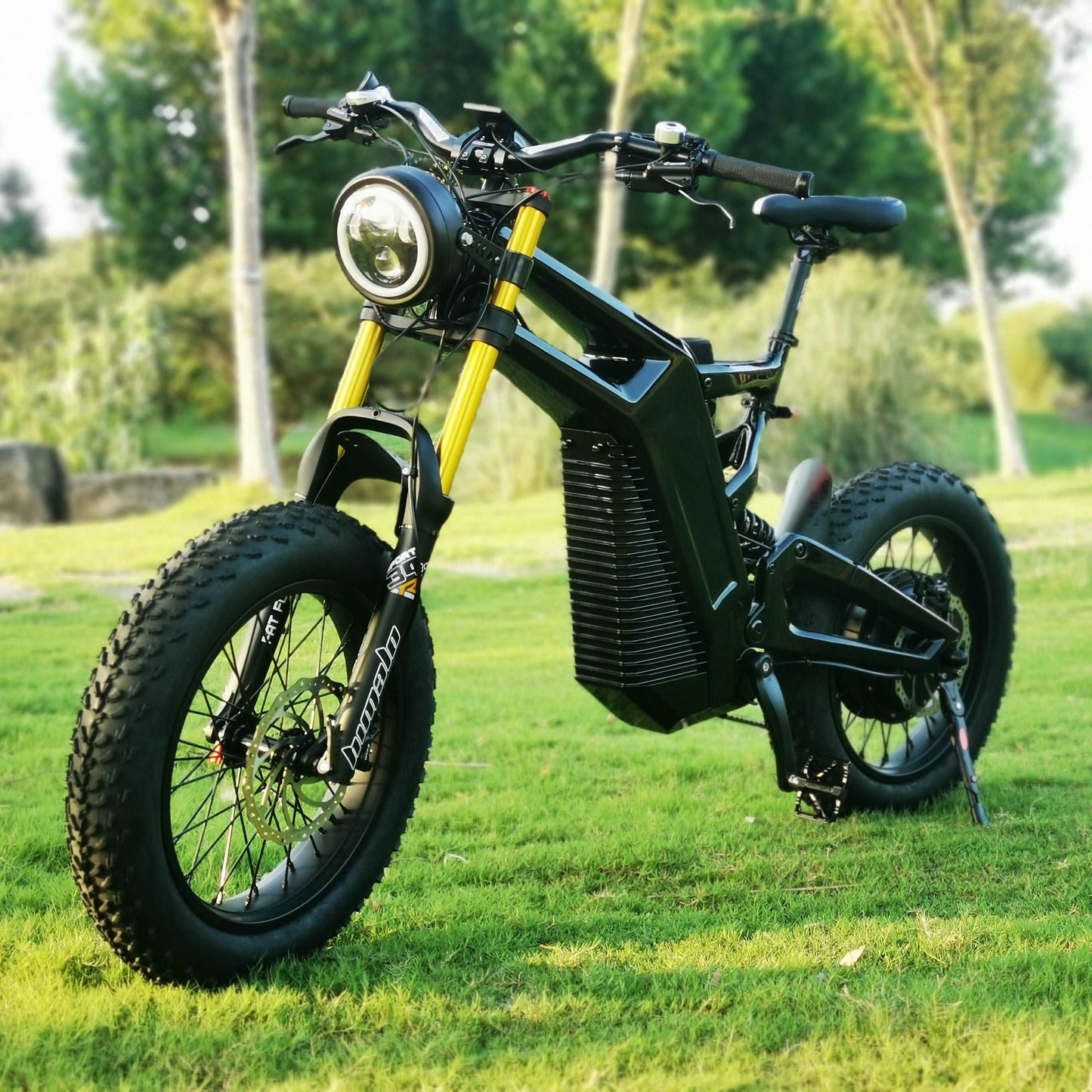 Ace (Carbon 20*4'' Commuter)