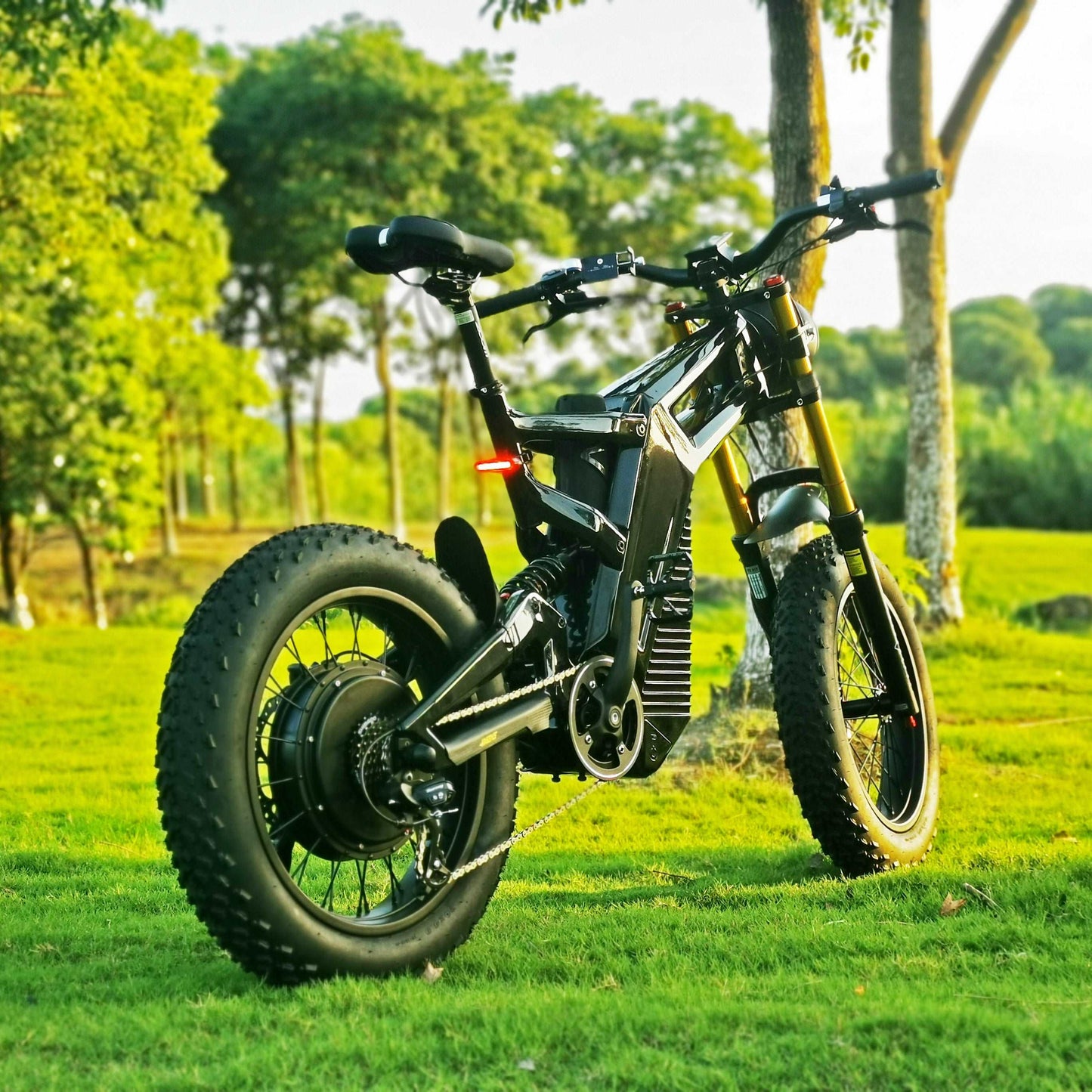 Ace (Carbon 20*4'' Commuter)