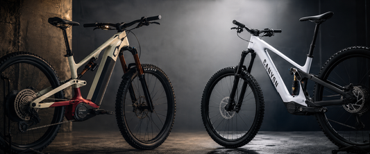 Are Derailleurs Really Dead? Avinox, GoBao, and the New System War in eMTB