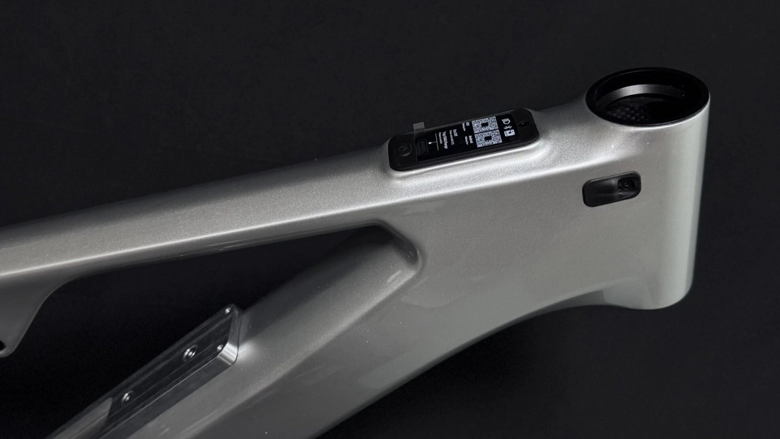 2025 E-Bike Industry Analysis