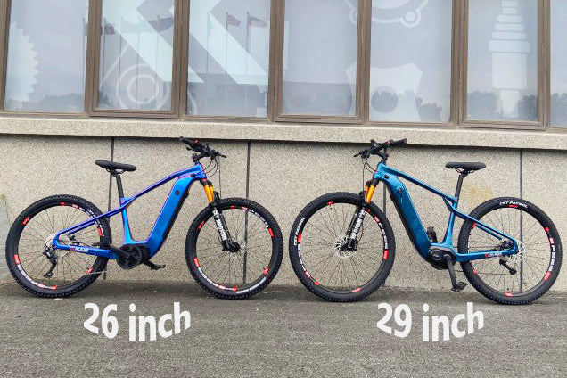 elektrische mountainbike 29 inch eEM29 Carbon eMTB | 26er Wheels | Hardtail eBike