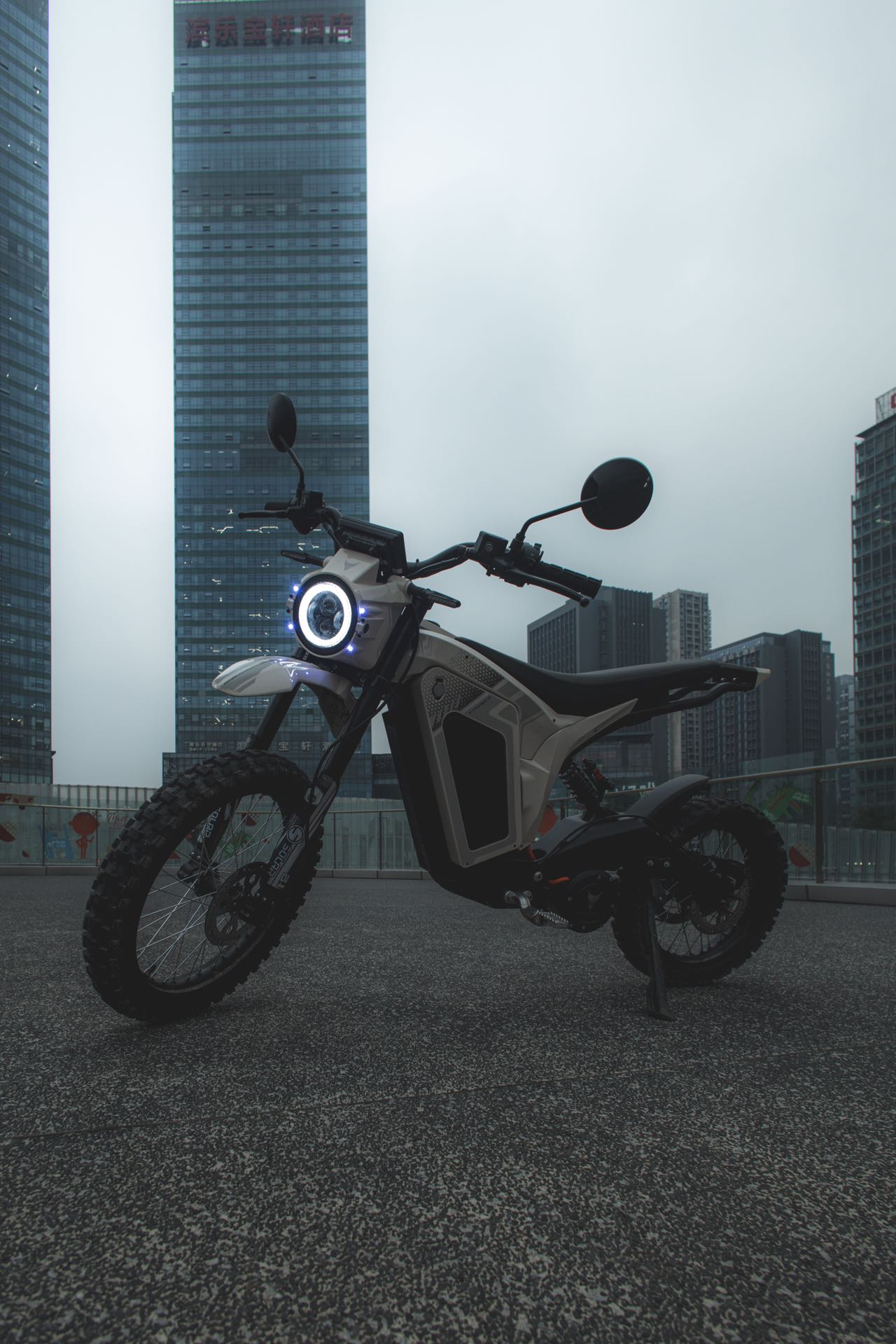 Denzel (Carbon） – 4LEAF Bikes
