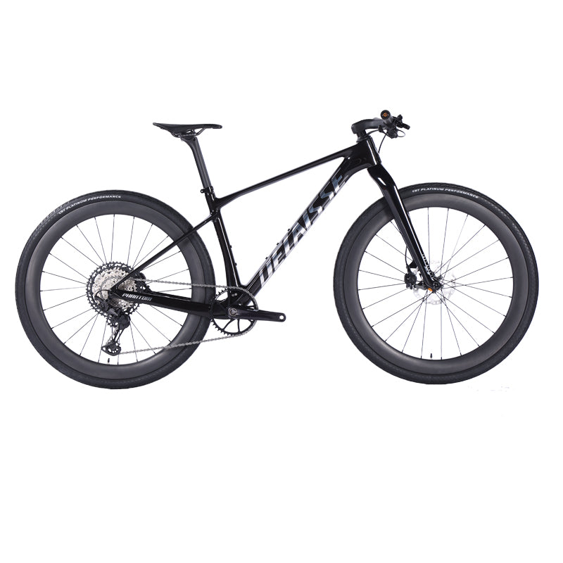 Phantom Hardtail MTB (Carbon) – 4LEAF Bikes