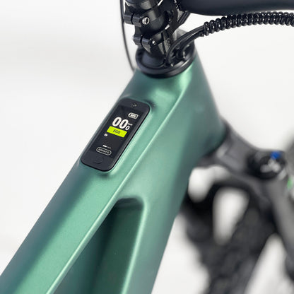 CEF55 Carbon Bafang M820 eMTB | Rear Travel 150mm