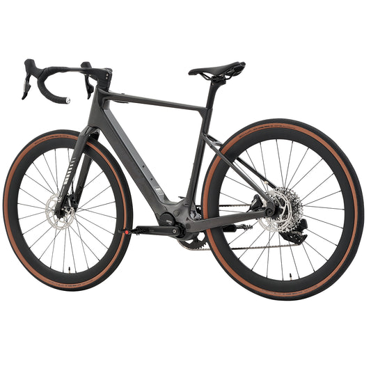 Eagle M820 E-Gravel Bike (Carbon)