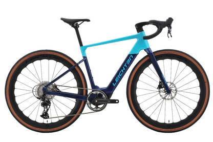 Eagle M820 E-Gravel Bike (Carbon) – 4LEAF Bikes
