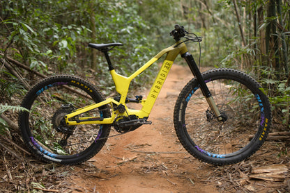 Hybridizer SANN Enduro MTB frameset