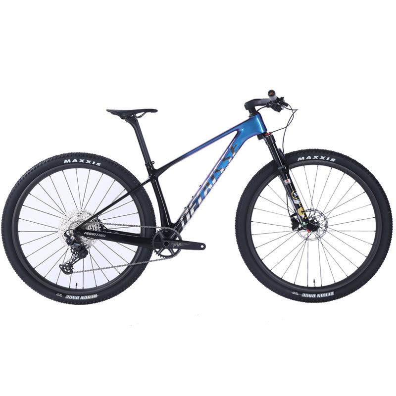 Phantom Hardtail MTB (Carbon)