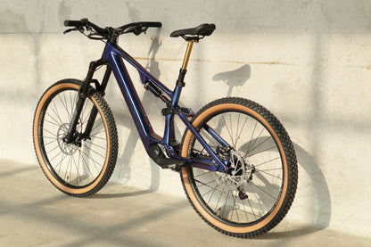 Lightweight Bafang M820 (LE67)