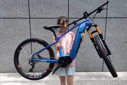 electric cross bicycle Bulls Lite S Fly Rides USA With BMS Safety System Charger Freego X2 Pro All-Terrain Dirt