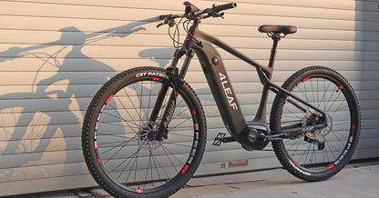 e bike mountainbikes eM29 Carbon eMTB | 26er Wheels | Hardtail eBike