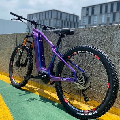 eM29 Carbon eMTB | 26er Wheels | Hardtail eBike