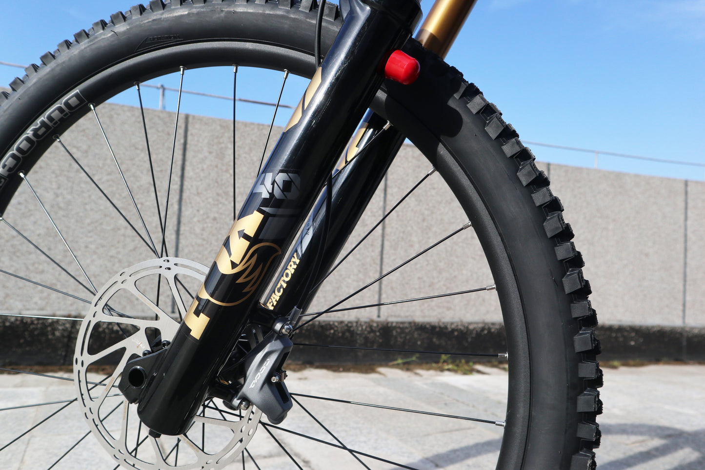 Rocksoul VPP eMTB Downhill | Bafang M560 Motor | Full Suspension Electric Mountain Bike