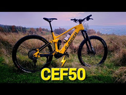 Lightweight Bafang M820 (CEF50)